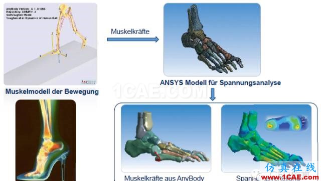 生命中的一天｜CAE仿真无处不在【转发】ansys结构分析图片7