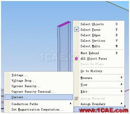 ANSYS Workbench与Ansoft Maxwell 电磁结构耦合案例Maxwell应用技术图片18