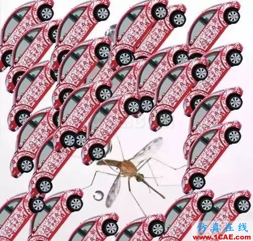 为什么蚊子永远不会被雨砸死？千万别被孩子问住了！fluent分析案例图片6