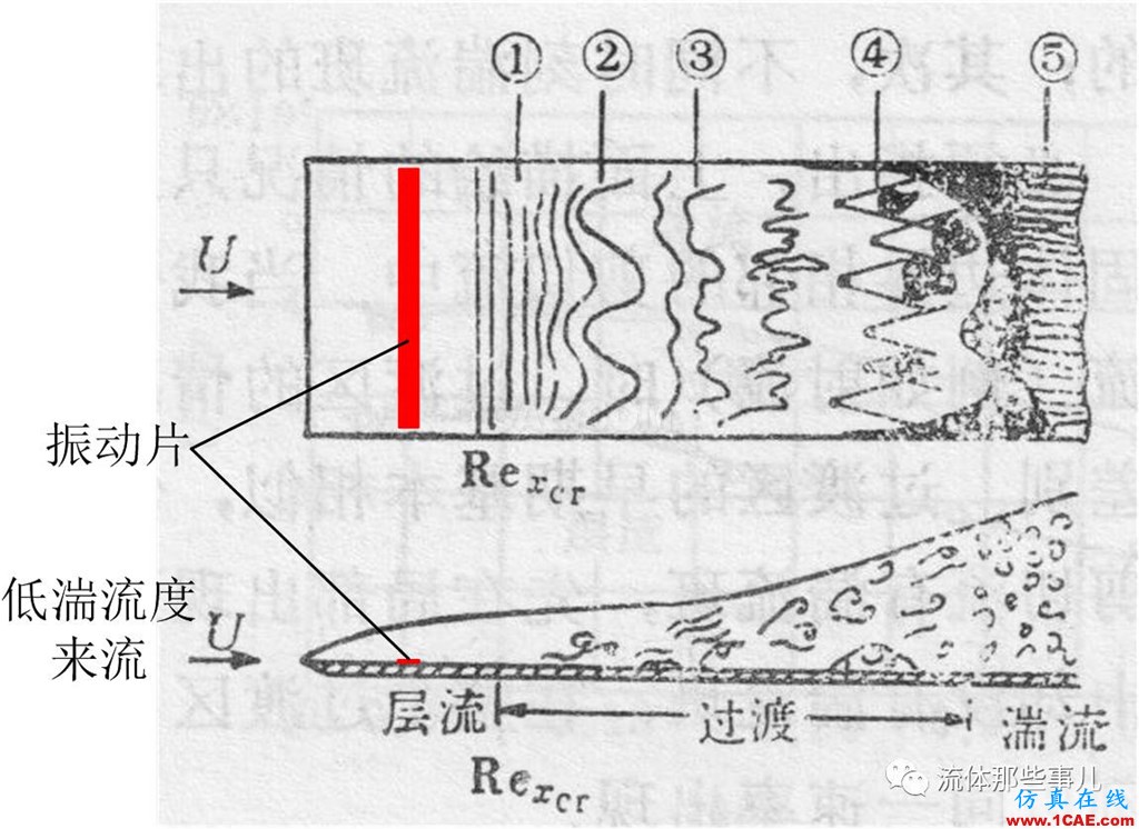 层流为何会转变为湍流：托尔明-施利希廷波的故事fluent培训的效果图片3