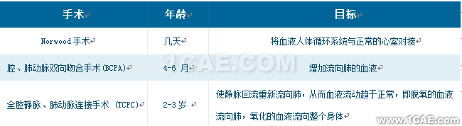 CFD模拟拯救患有致命心脏缺陷的婴儿