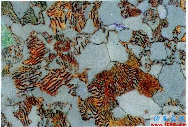 那些年我们追过的铁-碳相图(动图解析+精美金相图)机械设计图片28