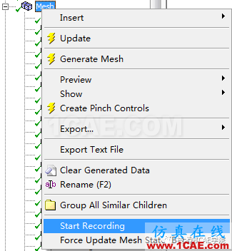 ANSYS Workbench Meshing网格录制Start Recording的方法说明ansys图片5