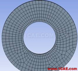 【技术篇】Mesh结构总体网格控制ansys培训的效果图片14