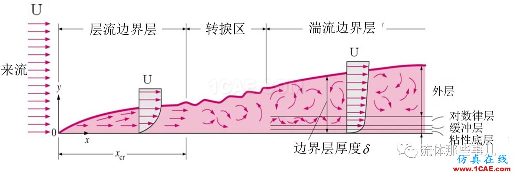 层流为何会转变为湍流：托尔明-施利希廷波的故事fluent培训的效果图片1