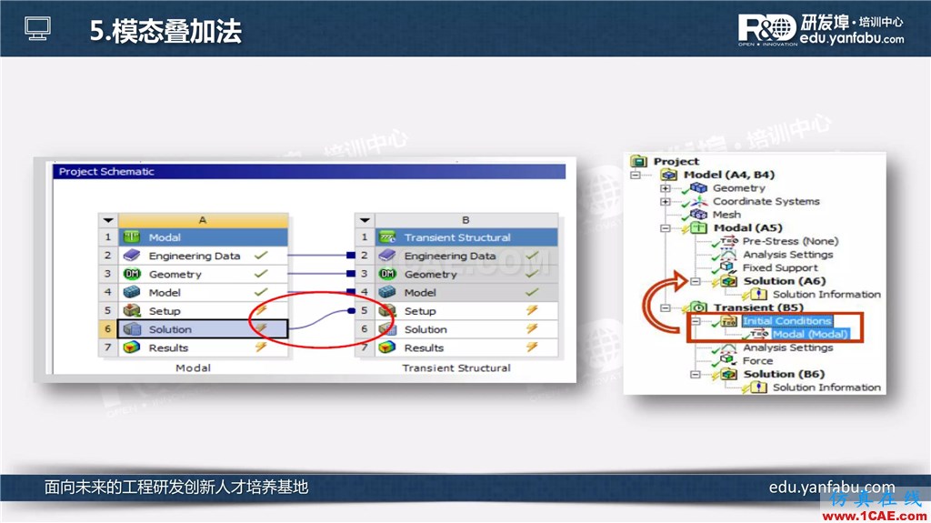 看完这个瞬态动力学分析会一半了ansys分析图片16