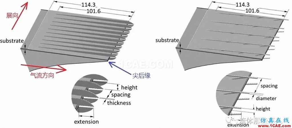 萌萌的猫头鹰背后的故事：寂静杀手让我们学到流体力学的秘密fluent培训课程图片6