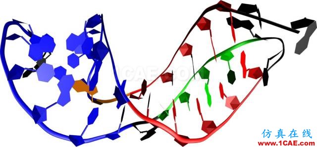 【资讯】强势围观！Science公布的125个科学前沿问题!图片59