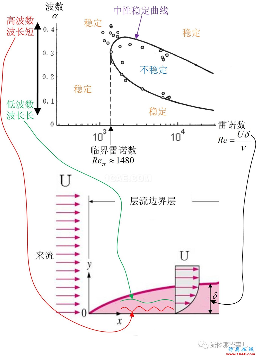 层流为何会转变为湍流：托尔明-施利希廷波的故事fluent图片5