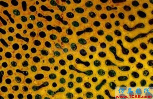 那些年我们追过的铁-碳相图(动图解析+精美金相图)机械设计资料图片10