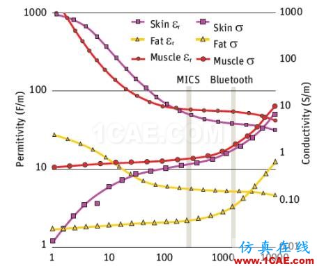 ANSYS在医疗健康行业的应用HFSS结果图片7