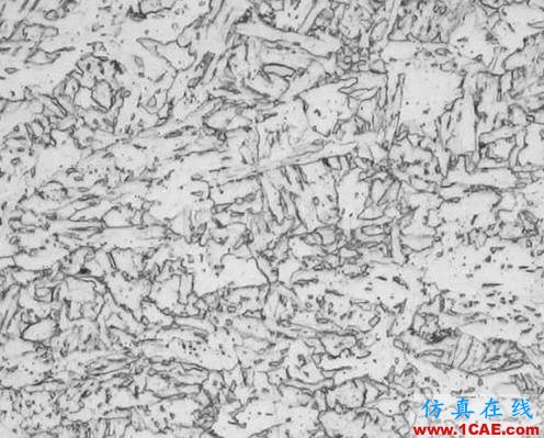 那些年我们追过的铁-碳相图(动图解析+精美金相图)机械设计案例图片13