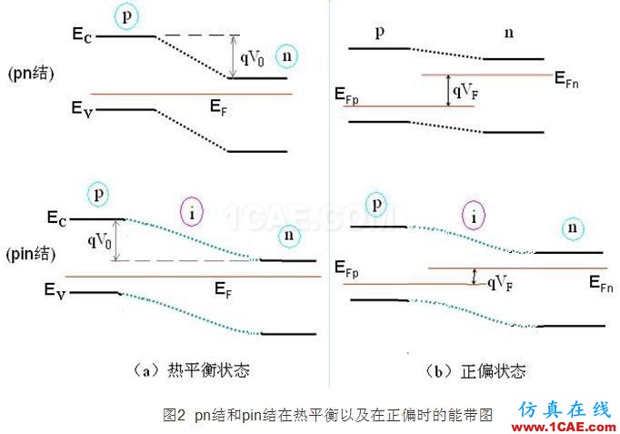 PIN结与PN结的特性比较 - 学习 - 学习、学习、再学习