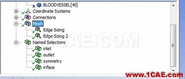 WORKBENCH对血管的流固耦合分析fluent图片11