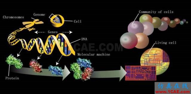 【资讯】强势围观！Science公布的125个科学前沿问题!图片61