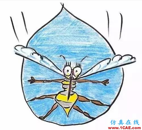 为什么蚊子永远不会被雨砸死？千万别被孩子问住了！fluent流体分析图片12