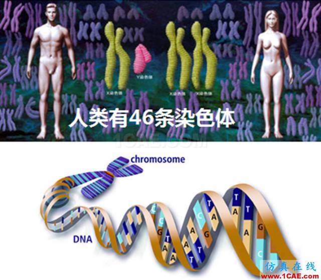 【资讯】强势围观！Science公布的125个科学前沿问题!图片3