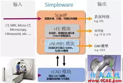 人体组织三维建模技术与有限元仿真前沿制造技术图片1