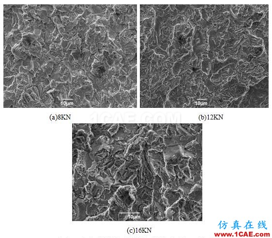 钻杆钢腐蚀疲劳的断口分析ansys分析图片3