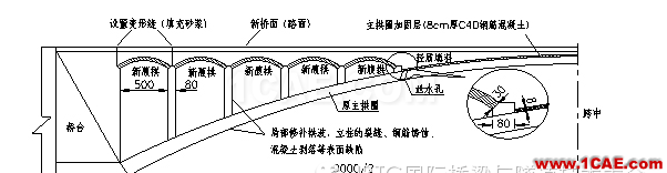 大跨变截面悬链线双曲拱桥加固后承载能力分析Midas Civil培训教程图片1